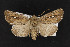  ( - CNC LEP00052271)  @14 [ ] Unspecified (default): All Rights Reserved  Unspecified Unspecified