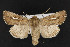  ( - CNC LEP00052272)  @14 [ ] Unspecified (default): All Rights Reserved  Unspecified Unspecified