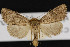  ( - CNC LEP00052291)  @14 [ ] Unspecified (default): All Rights Reserved  Unspecified Unspecified