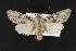  ( - CNC LEP00052296)  @14 [ ] Unspecified (default): All Rights Reserved  Unspecified Unspecified