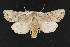  ( - CNC LEP00052298)  @13 [ ] Unspecified (default): All Rights Reserved  Unspecified Unspecified