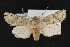  ( - CNC LEP00052300)  @12 [ ] Unspecified (default): All Rights Reserved  Unspecified Unspecified