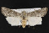  ( - CNC LEP00052301)  @11 [ ] Unspecified (default): All Rights Reserved  Unspecified Unspecified