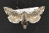  ( - CNC LEP00052313)  @11 [ ] Unspecified (default): All Rights Reserved  Unspecified Unspecified