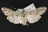  ( - CNC LEP00052315)  @14 [ ] Unspecified (default): All Rights Reserved  Unspecified Unspecified