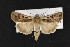  ( - CNC LEP00052325)  @14 [ ] Unspecified (default): All Rights Reserved  Unspecified Unspecified