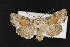  ( - CNC LEP00052338)  @14 [ ] Unspecified (default): All Rights Reserved  Unspecified Unspecified