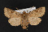  ( - CNC LEP00052343)  @15 [ ] Unspecified (default): All Rights Reserved  Unspecified Unspecified