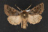  ( - CNC LEP00052344)  @14 [ ] Unspecified (default): All Rights Reserved  Unspecified Unspecified