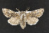  ( - CNC LEP00052348)  @14 [ ] Unspecified (default): All Rights Reserved  Unspecified Unspecified