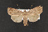  ( - CNC LEP00052367)  @13 [ ] Unspecified (default): All Rights Reserved  Unspecified Unspecified