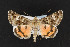  ( - CNC LEP00052369)  @14 [ ] Unspecified (default): All Rights Reserved  Unspecified Unspecified
