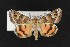  ( - CNC LEP00052370)  @12 [ ] Unspecified (default): All Rights Reserved  Unspecified Unspecified