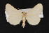  ( - CNC LEP00052387)  @13 [ ] Unspecified (default): All Rights Reserved  Unspecified Unspecified
