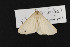  ( - CNC LEP00052389)  @12 [ ] Unspecified (default): All Rights Reserved  Unspecified Unspecified