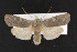 ( - CNC LEP00052392)  @13 [ ] Unspecified (default): All Rights Reserved  Unspecified Unspecified