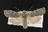  ( - CNC LEP00052393)  @14 [ ] Unspecified (default): All Rights Reserved  Unspecified Unspecified