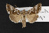  ( - CNC LEP00052437)  @12 [ ] Unspecified (default): All Rights Reserved  Unspecified Unspecified