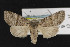  ( - CNC LEP00052444)  @12 [ ] Unspecified (default): All Rights Reserved  Unspecified Unspecified
