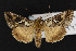  ( - CNC LEP00052445)  @13 [ ] Unspecified (default): All Rights Reserved  Unspecified Unspecified