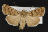  ( - CNC LEP00052466)  @14 [ ] Unspecified (default): All Rights Reserved  Unspecified Unspecified