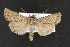  ( - CNC LEP00052483)  @14 [ ] Unspecified (default): All Rights Reserved  Unspecified Unspecified