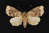  ( - CNC LEP00052802)  @15 [ ] Unspecified (default): All Rights Reserved  Unspecified Unspecified