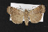  ( - CNC LEP00052803)  @14 [ ] Unspecified (default): All Rights Reserved  Unspecified Unspecified