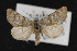  ( - CNC LEP00052817)  @12 [ ] Unspecified (default): All Rights Reserved  Unspecified Unspecified