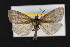  ( - CNC LEP00052822)  @11 [ ] Unspecified (default): All Rights Reserved  Unspecified Unspecified