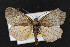  ( - CNC LEP00052823)  @14 [ ] Unspecified (default): All Rights Reserved  Unspecified Unspecified