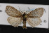  ( - CNC LEP00052824)  @13 [ ] Unspecified (default): All Rights Reserved  Unspecified Unspecified