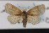  ( - CNC LEP00052825)  @13 [ ] Unspecified (default): All Rights Reserved  Unspecified Unspecified