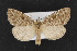  ( - CNC LEP00052870)  @14 [ ] Unspecified (default): All Rights Reserved  Unspecified Unspecified