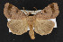  ( - CNC LEP00052876)  @14 [ ] Unspecified (default): All Rights Reserved  Unspecified Unspecified