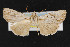  ( - CNC LEP00052882)  @13 [ ] Unspecified (default): All Rights Reserved  Unspecified Unspecified
