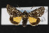  ( - CNC LEP00052890)  @13 [ ] Unspecified (default): All Rights Reserved  Unspecified Unspecified