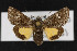  ( - CNC LEP00052892)  @14 [ ] Unspecified (default): All Rights Reserved  Unspecified Unspecified