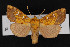  ( - CNC LEP00052898)  @14 [ ] Unspecified (default): All Rights Reserved  Unspecified Unspecified