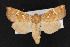  ( - CNC LEP00052904)  @14 [ ] Unspecified (default): All Rights Reserved  Unspecified Unspecified