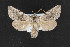  ( - CNC LEP00052906)  @14 [ ] Unspecified (default): All Rights Reserved  Unspecified Unspecified