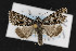  ( - CNC LEP00052908)  @13 [ ] Unspecified (default): All Rights Reserved  Unspecified Unspecified