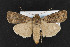  ( - CNC LEP00052923)  @14 [ ] Unspecified (default): All Rights Reserved  Unspecified Unspecified