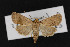 ( - CNC LEP00052939)  @11 [ ] Unspecified (default): All Rights Reserved  Unspecified Unspecified