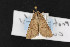  ( - CNC LEP00052942)  @12 [ ] Unspecified (default): All Rights Reserved  Unspecified Unspecified
