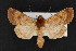  ( - CNC LEP00052957)  @13 [ ] Unspecified (default): All Rights Reserved  Unspecified Unspecified