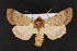  ( - CNC LEP00052958)  @14 [ ] Unspecified (default): All Rights Reserved  Unspecified Unspecified