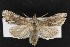  ( - CNC LEP00052965)  @11 [ ] Unspecified (default): All Rights Reserved  Unspecified Unspecified