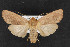  ( - CNC LEP00052976)  @14 [ ] Unspecified (default): All Rights Reserved  Unspecified Unspecified