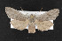  ( - CNC LEP00052980)  @14 [ ] Unspecified (default): All Rights Reserved  Unspecified Unspecified